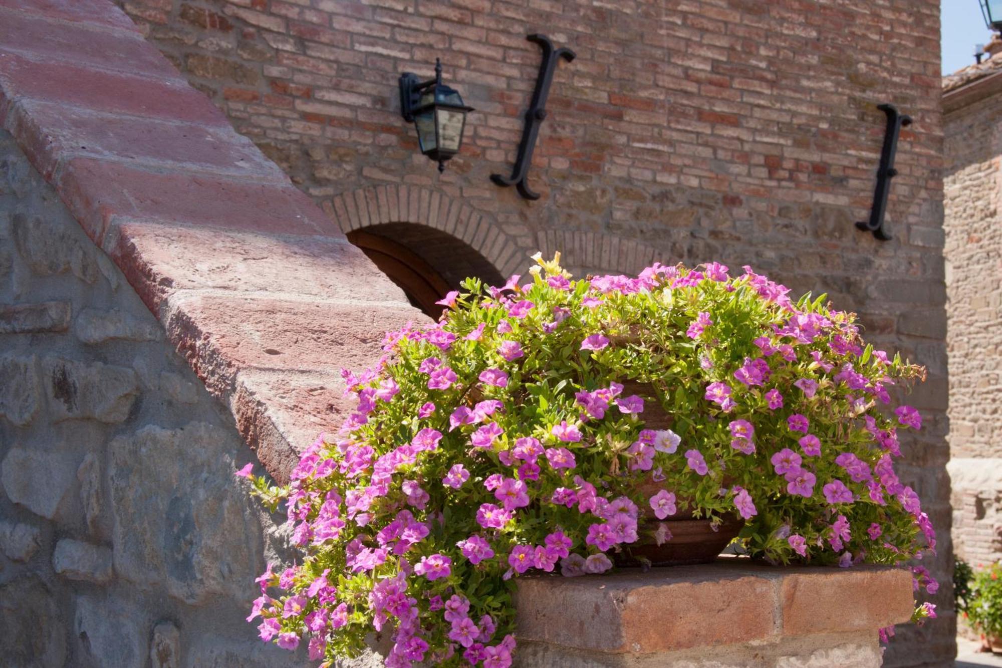 Bed and Breakfast Casale L'Antico Carro à Cortone Extérieur photo